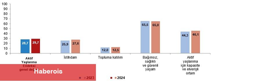 Faal Yaşlanma Endeksi, 2024 - Haberois Faal Yaşlanma Endeksi, 2024