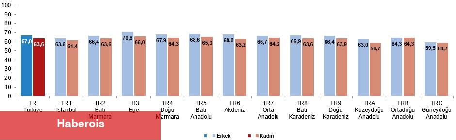 Faal Yaşlanma Endeksi, 2024 - Haberois Faal Yaşlanma Endeksi, 2024
