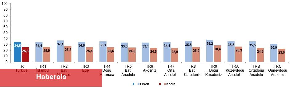 Faal Yaşlanma Endeksi, 2024 - Haberois Faal Yaşlanma Endeksi, 2024