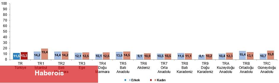 Faal Yaşlanma Endeksi, 2024 - Haberois Faal Yaşlanma Endeksi, 2024