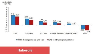 Finansal Yatırım Araçlarının Reel Getiri Oranları, Mart 2025