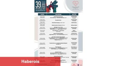 Flamenko Rüzgârı Ankara'dan Esecek