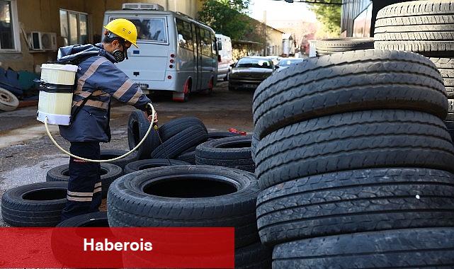 Havaların ısınmasıyla birlikte ilaçlama çalışmaları sürat kazandı