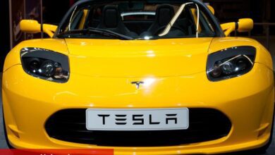 İnsansı robotlara daha yakından bakış