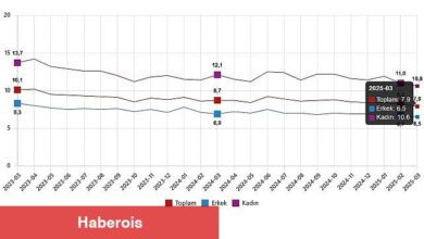 İşgücü İstatistikleri, Mart 2025
