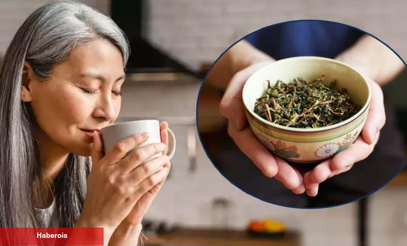 Japon araştırmacılar açıkladı: Yeşil çay içmek demans riskini azaltıyor! - Haberois Japon araştırmacılar açıkladı: Yeşil çay içmek demans riskini azaltıyor!