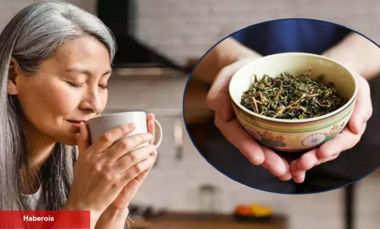 Japon araştırmacılar açıkladı: Yeşil çay içmek demans riskini azaltıyor! - Haberois Japon araştırmacılar açıkladı: Yeşil çay içmek demans riskini azaltıyor!