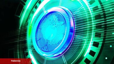 Japon Devi, Türklerin Radarındaki O Altcoin’i Seçti: İşte Detaylar!