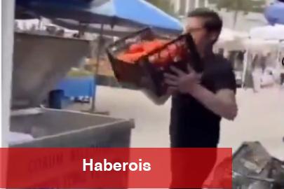 Kasalarca domatesler çöpe döküldü! Cezasız kalmadı! - Haberois Kasalarca domatesler çöpe döküldü! Cezasız kalmadı!