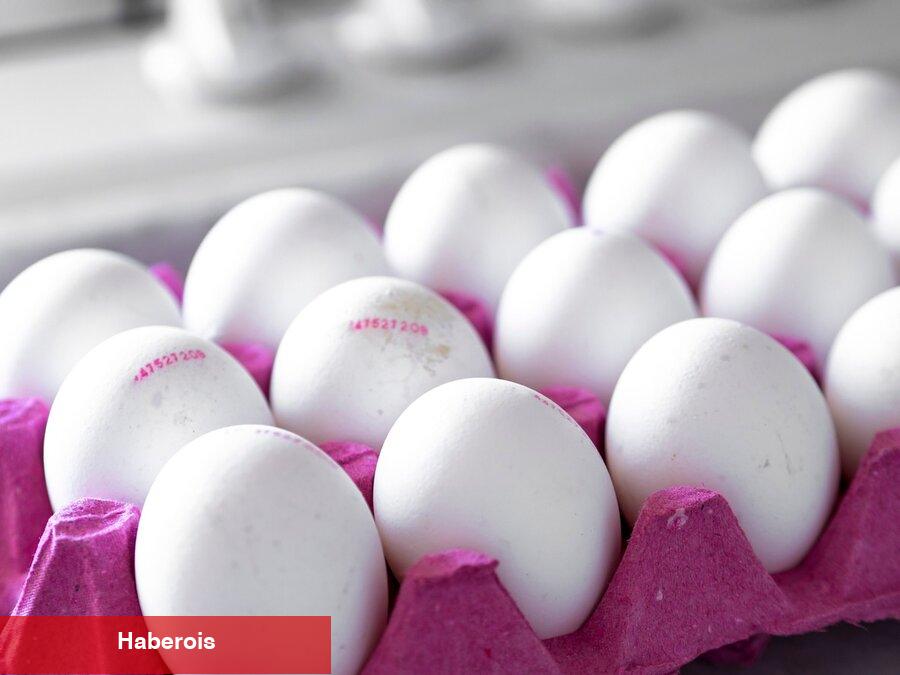 Kodları okumadan almayın! Yumurta alırken bunlara dikkat edin... - Haberois Kodları okumadan almayın! Yumurta alırken bunlara dikkat edin...