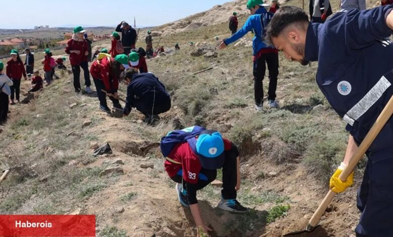 Konya Selçuklu’da yeşil doku güçlenmeye devam ediyor