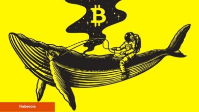 Kripto Balinalarının Nisan Ayında Sessizce Topladığı 3 Altcoin!