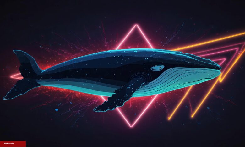 Kripto Para Balinaları Bu Altcoin’leri Sepetine Ekledi!