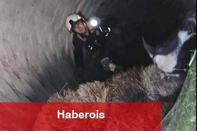 Kuyuya düşen koyunu itfaiye kurtardı - Haberois Kuyuya düşen koyunu itfaiye kurtardı