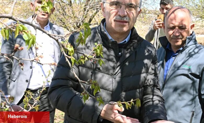 Malatya'da kar ve don mağduriyeti incelemesi