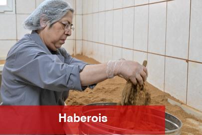 Manisa'da 485. buluşma için geri sayım - Haberois Manisa'da 485. buluşma için geri sayım