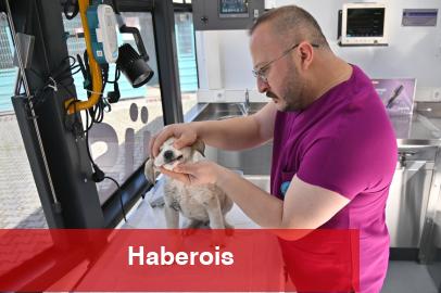 Manisa'da Vetbüs projesi hizmete başladı