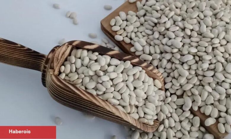 Mart'ın şampiyonu kuru fasulye! - Haberois Mart'ın şampiyonu kuru fasulye!