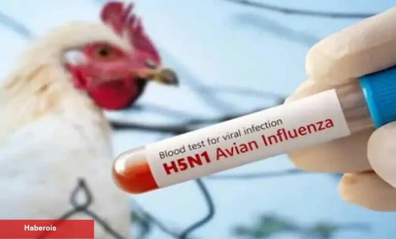 Meksika'da alarm verildi: Birinci sefer bir beşerde 'H5N1' kuş gribi tespit edildi!