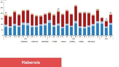 Motorlu Kara Taşıtları, Mart 2025 - Haberois Motorlu Kara Taşıtları, Mart 2025