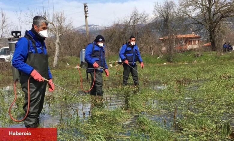 Muğla Büyükşehir'den sağlıklı kent adımları