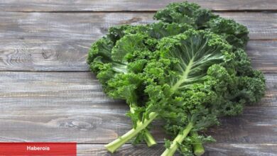 Muhteşem besin kale: Bu sebzeyi herkes tabağına eklemeli - Haberois Muhteşem besin kale: Bu sebzeyi herkes tabağına eklemeli