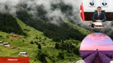 Orman köylerindeki ailelere tarımsal müjde