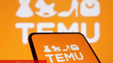 PDD’nin Temu’su "yükseltilen tarifelerden muhtemelen en çok etkilenecek": Citi