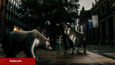 ¿Qué es un Mercado Bajista? ¿Estamos en uno?