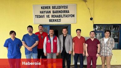 Satın alma sahiplen - Haberois Satın alma sahiplen