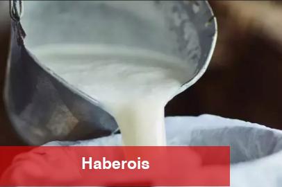 Şubat'ta süt ürünleri üretiminde düşüş... Ayran ve kefir üretimi yüzde 6,9 arttı