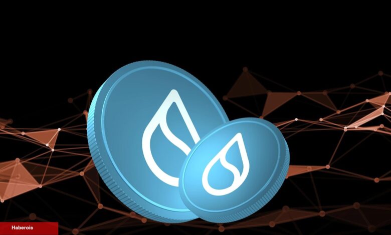 SUI Token Neden Haftada %70 Yükseldi? İşte Olayın Arkaplanı! - Haberois SUI Token Neden Haftada %70 Yükseldi? İşte Olayın Arkaplanı!