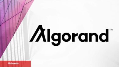 Tanınan Altcoin Algorand Türkiye’ye Odaklanıyor - Haberois Tanınan Altcoin Algorand Türkiye’ye Odaklanıyor