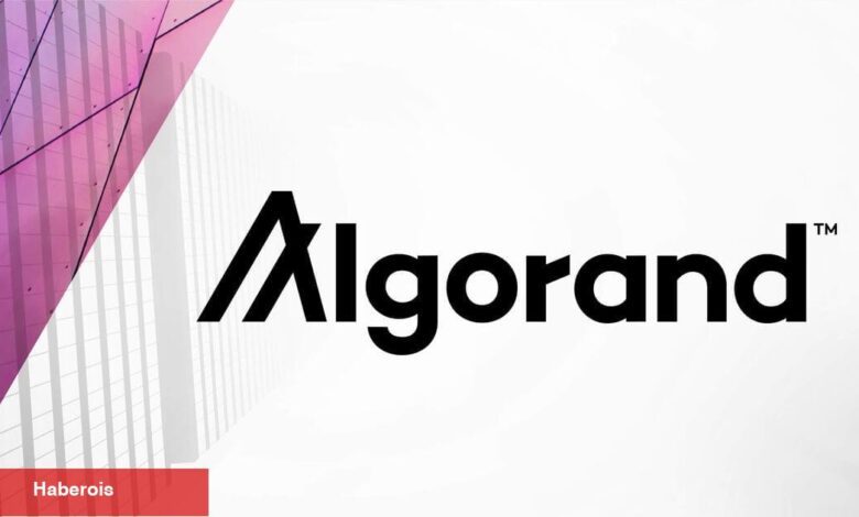 Tanınan Altcoin Algorand Türkiye’ye Odaklanıyor - Haberois Tanınan Altcoin Algorand Türkiye’ye Odaklanıyor