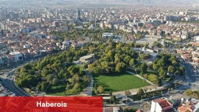 Tarımın Başkenti Konya, İlk Kez Düzenlenecek "Tarım Diplomasisi Forumu"na Ev Sahipliği Yapacak - Haberois Tarımın Başkenti Konya, İlk Kez Düzenlenecek "Tarım Diplomasisi Forumu"na Ev Sahipliği Yapacak