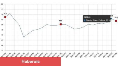 Tüketici İnanç Endeksi, Nisan 2025