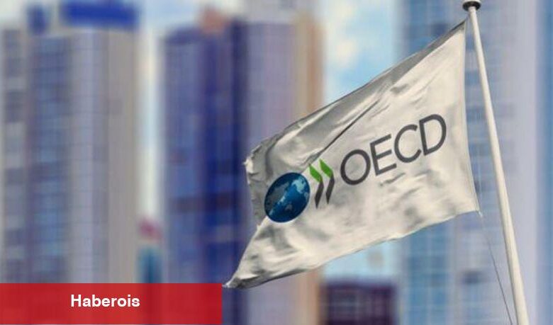 Türkiye toplumsal siyaset alanında OECD'de nerede? - Haberois Türkiye toplumsal siyaset alanında OECD'de nerede?
