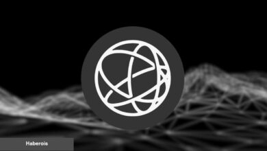 VanEck, Bu Altcoin için Özel Bir Yatırım Eseri Oluşturdu