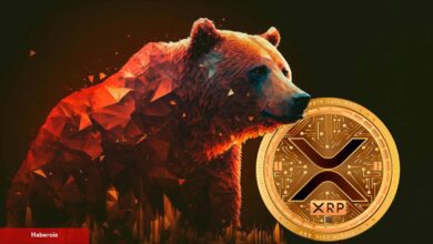 XRP Fiyatı Tehlikede: Yatırımlar, Ocak’tan Bu Yana ‘Durma’ Noktasında!