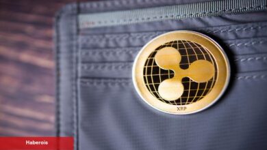 XRP Satmayı Düşünenler Dikkat! Uzmanlardan “Hemen Satma” Uyarısı: İşte 5 Kıymetli Neden