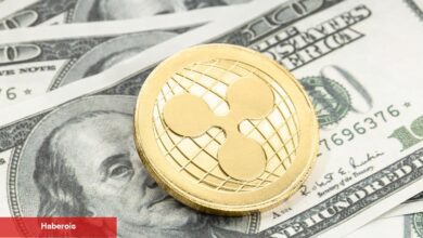 XRP Sürpriz Bir Halde Artabilir: Bu 2 Tahlil Ralli Kapıda Diyor!