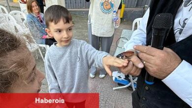 Yeniceabat'ta 'Böcek Bilim' buluşması yapıldı - Haberois Yeniceabat'ta 'Böcek Bilim' buluşması yapıldı