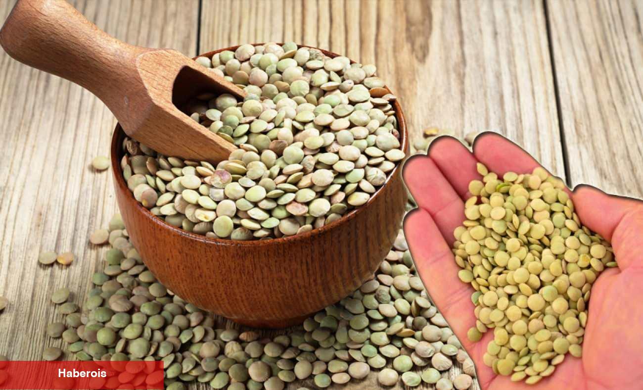 Yeşil mercimek saklama rehberi: Böceklenmeye karşı 5 tesirli prosedür