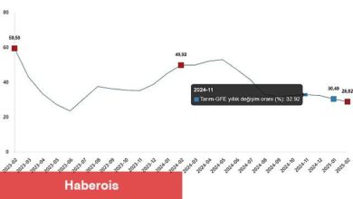 Ziraî Girdi Fiyat Endeksi, Şubat 2025 - Haberois Ziraî Girdi Fiyat Endeksi, Şubat 2025