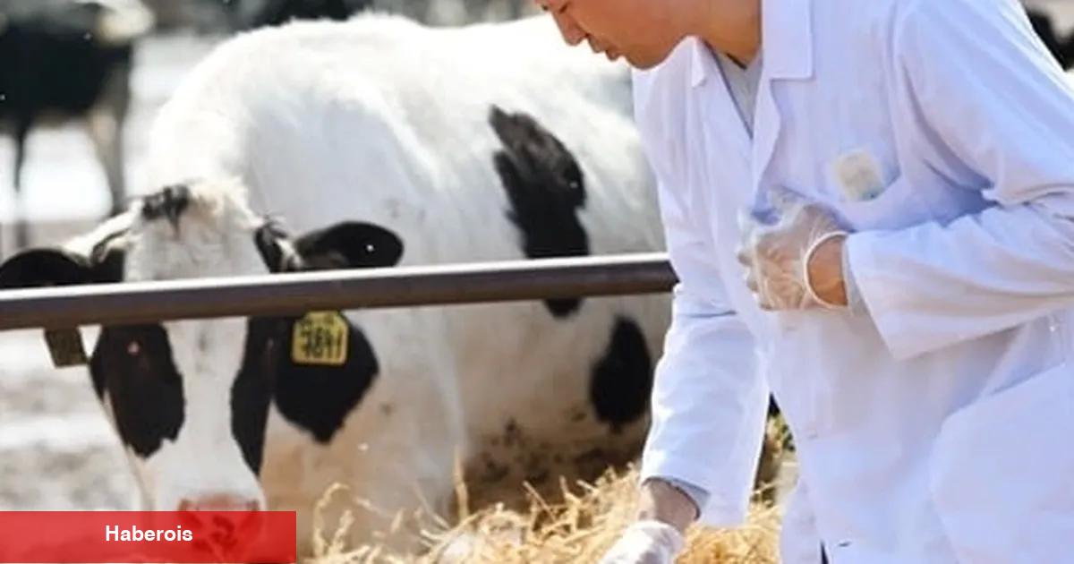 Ziraî girdide veteriner harcamaları ve tohum önde