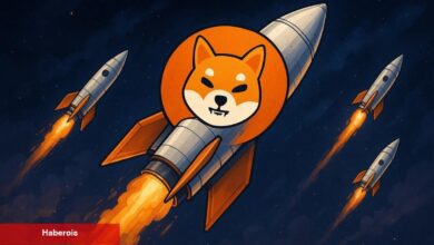 11 Bin İmza Toplandı: Fiyat Rekoru Kırdıracak SHIB ETF Geliyor Mu?