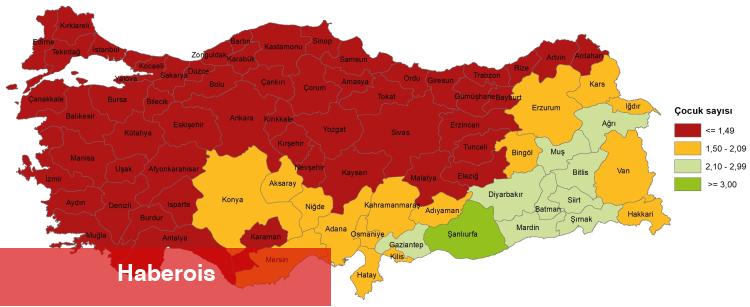 2024'ün doğum istatistikleri belirli oldu... Doğurganlık suratı düzey altında!