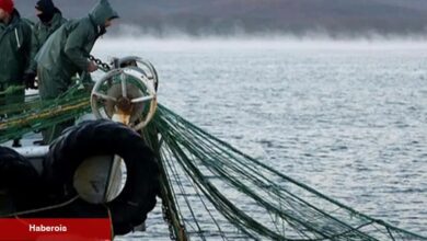 251 milyon liralık dayanak hesaplara yattı