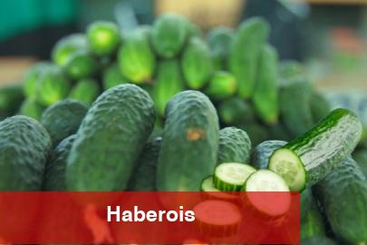 ABD’de salmonella alarmı! O salatalıklar toplatılıyor! - Haberois ABD’de salmonella alarmı! O salatalıklar toplatılıyor!