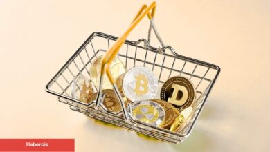 Altcoin Almak İçin Geç Mi Kaldık? Uzman Analist Açıkladı!